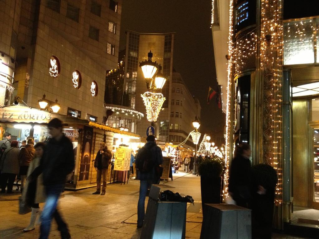 Private Apartment Centertown Budapeşte Oda fotoğraf